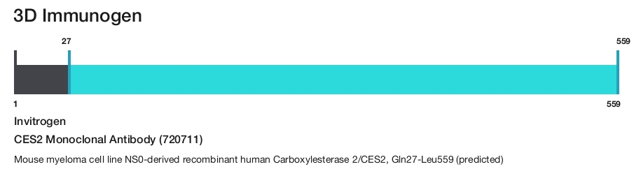 CES2 Monoclonal Antibody (720711)