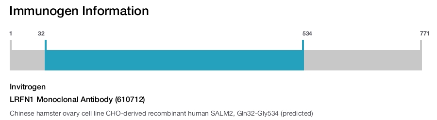 LRFN1 Monoclonal Antibody (610712)