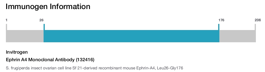 Ephrin A4 Monoclonal Antibody (132416)