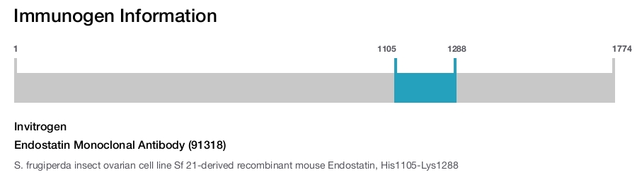 Endostatin Monoclonal Antibody (91318)