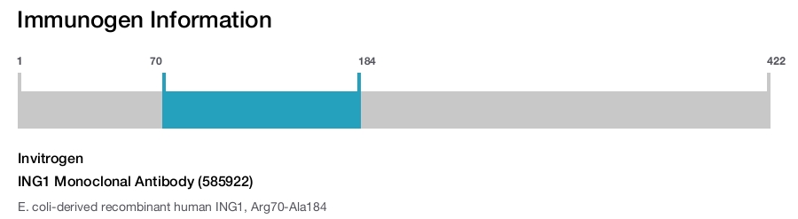 ING1 Monoclonal Antibody (585922)