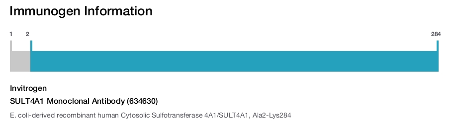 SULT4A1 Monoclonal Antibody (634630)
