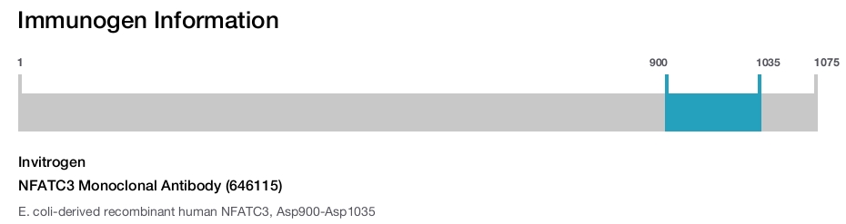 NFATC3 Monoclonal Antibody (646115)