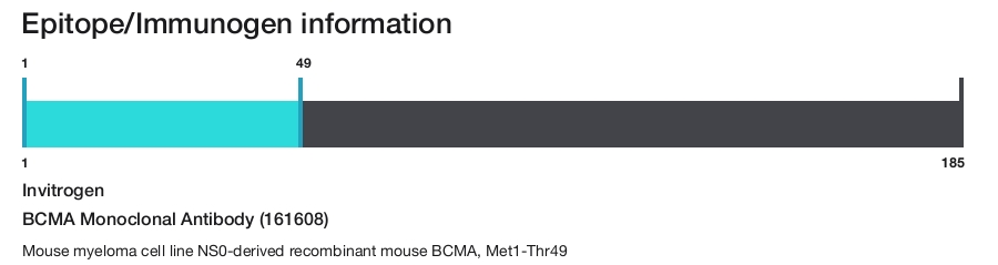 BCMA Monoclonal Antibody (161608)