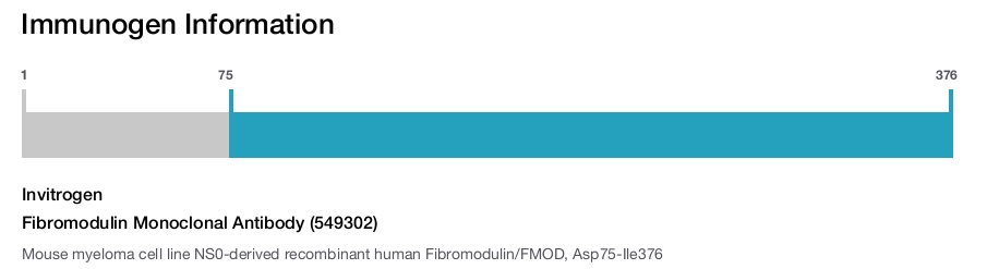 Fibromodulin Monoclonal Antibody (549302)