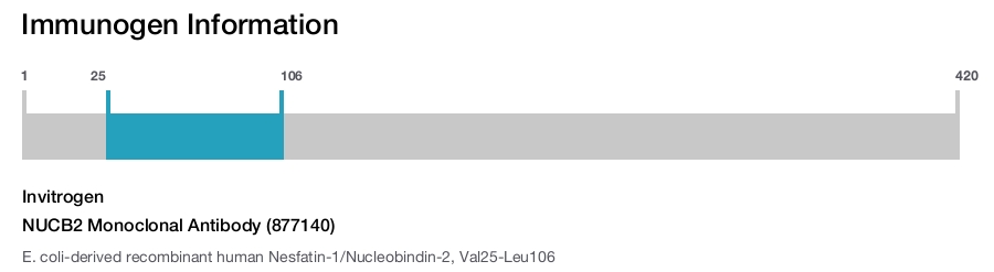 NUCB2 Monoclonal Antibody (877140)