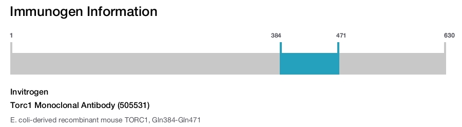 Torc1 Monoclonal Antibody (505531)