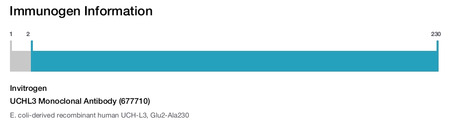 UCHL3 Monoclonal Antibody (677710)