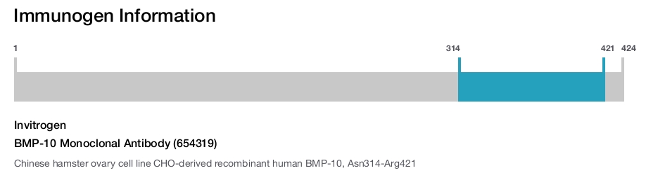 BMP-10 Monoclonal Antibody (654319)