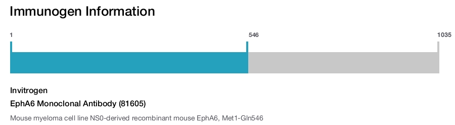 EphA6 Monoclonal Antibody (81605)