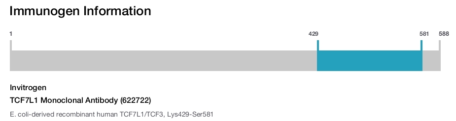 TCF7L1 Monoclonal Antibody (622722)