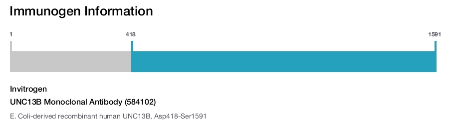 UNC13B Monoclonal Antibody (584102)