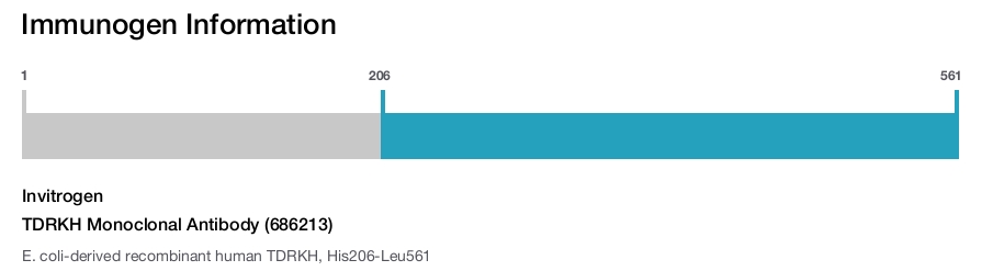 TDRKH Monoclonal Antibody (686213)