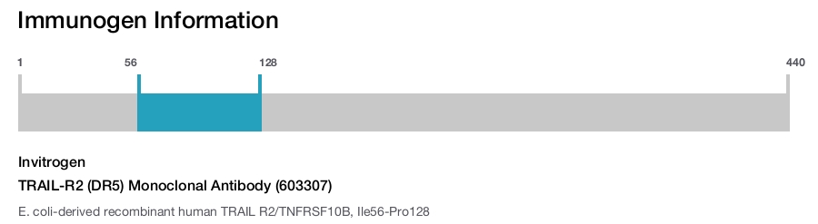 TRAIL-R2 (DR5) Monoclonal Antibody (603307)