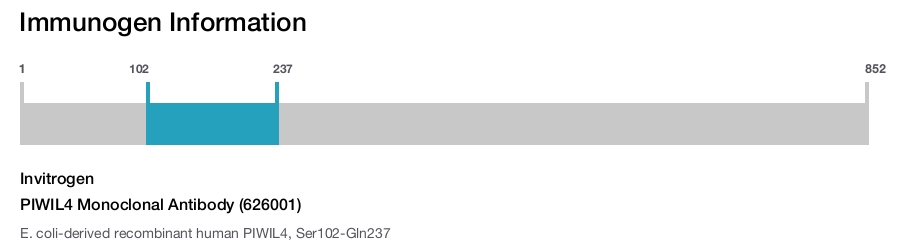 PIWIL4 Monoclonal Antibody (626001)