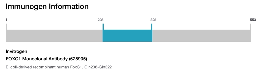 FOXC1 Monoclonal Antibody (625905)