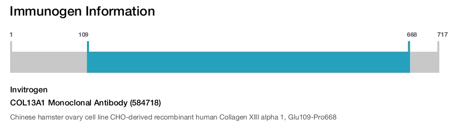 COL13A1 Monoclonal Antibody (584718)