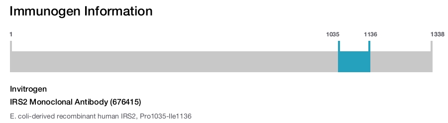IRS2 Monoclonal Antibody (676415)