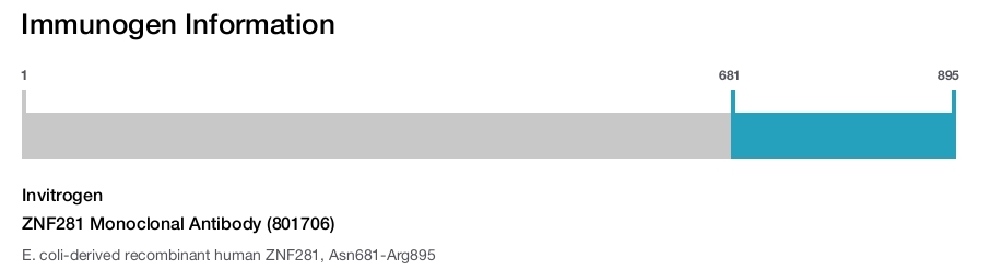 ZNF281 Monoclonal Antibody (801706)