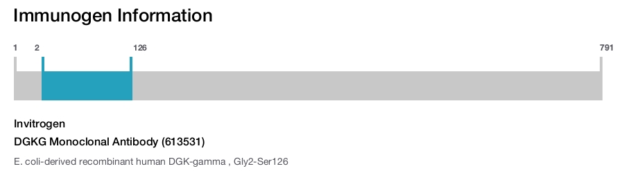 DGKG Monoclonal Antibody (613531)