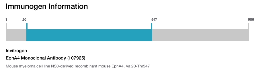 EphA4 Monoclonal Antibody (107925)