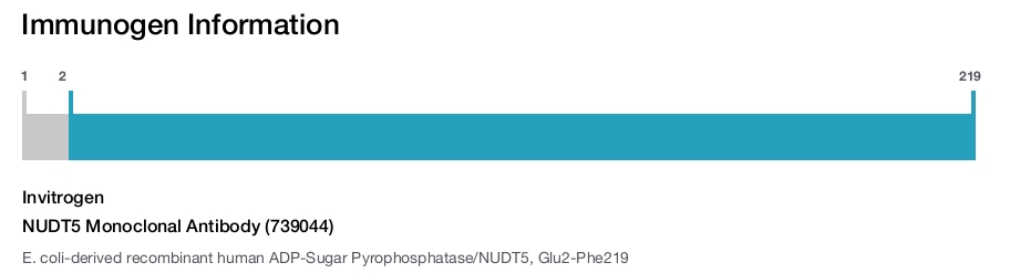 NUDT5 Monoclonal Antibody (739044)