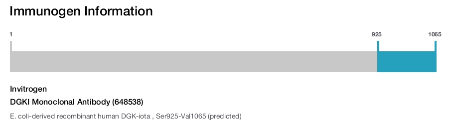 DGKI Monoclonal Antibody (648538)