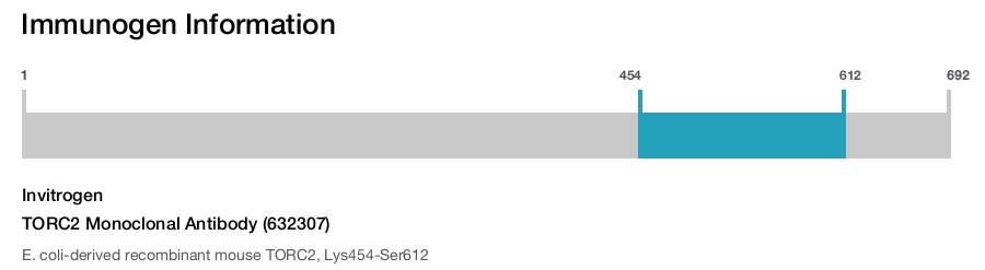 TORC2 Monoclonal Antibody (632307)