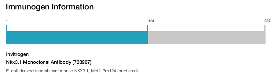 Nkx3.1 Monoclonal Antibody (738907)