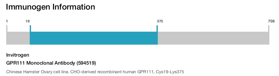 GPR111 Monoclonal Antibody (594519)