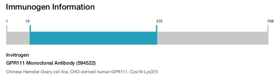 GPR111 Monoclonal Antibody (594522)