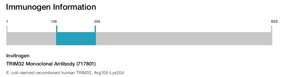 TRIM32 Monoclonal Antibody (717801)