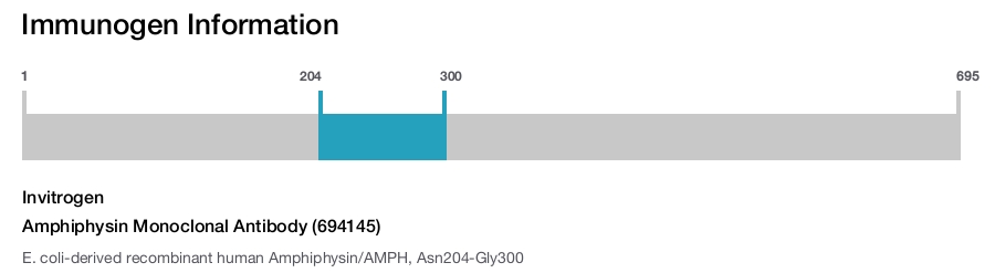 Amphiphysin Monoclonal Antibody (694145)