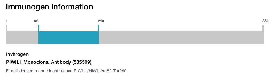 PIWIL1 Monoclonal Antibody (585509)