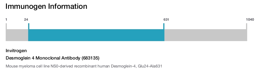 Desmoglein 4 Monoclonal Antibody (683135)