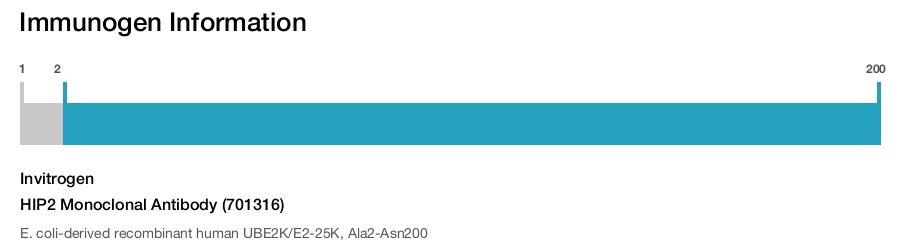 HIP2 Monoclonal Antibody (701316)