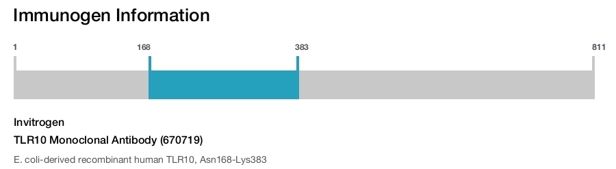 TLR10 Monoclonal Antibody (670719)