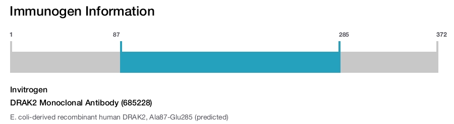 DRAK2 Monoclonal Antibody (685228)