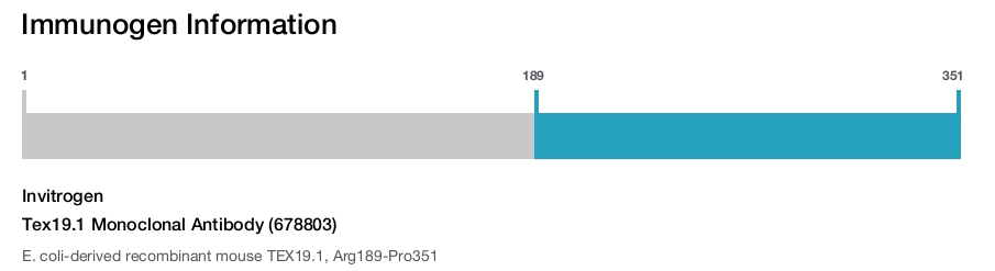 Tex19.1 Monoclonal Antibody (678803)