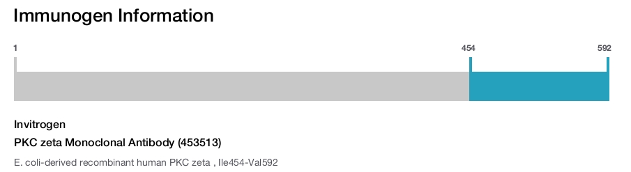 PKC zeta Monoclonal Antibody (453513)