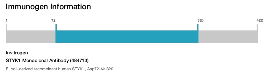 STYK1 Monoclonal Antibody (484713)