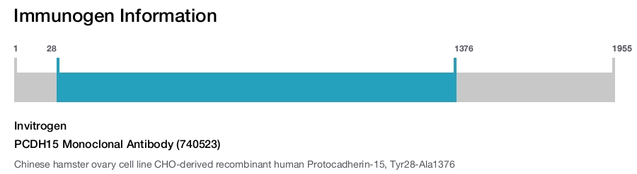 PCDH15 Monoclonal Antibody (740523)