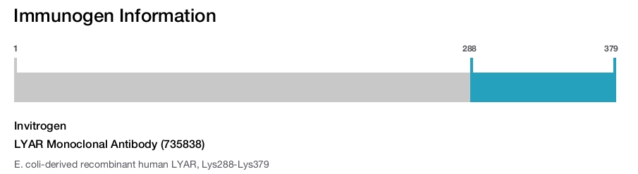 LYAR Monoclonal Antibody (735838)