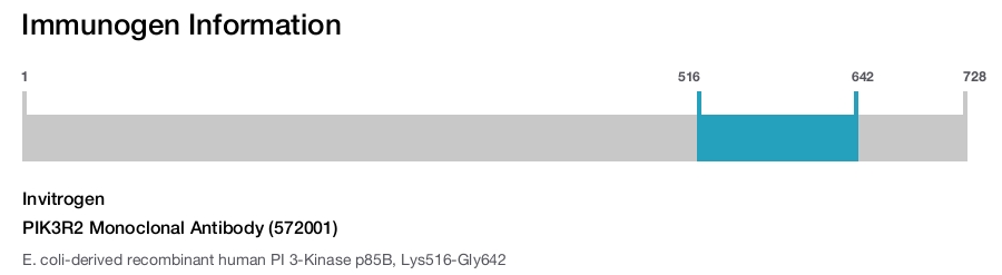 PIK3R2 Monoclonal Antibody (572001)