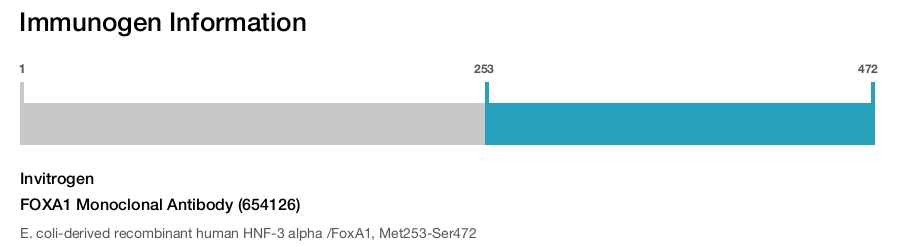FOXA1 Monoclonal Antibody (654126)