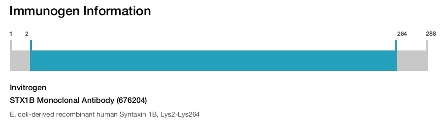 STX1B Monoclonal Antibody (676204)