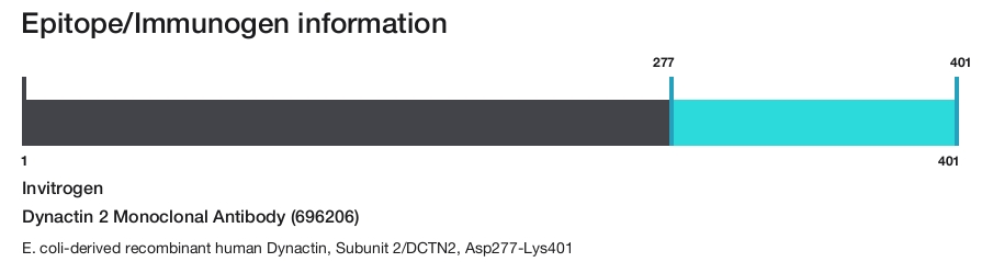 Dynactin 2 Monoclonal Antibody (696206)