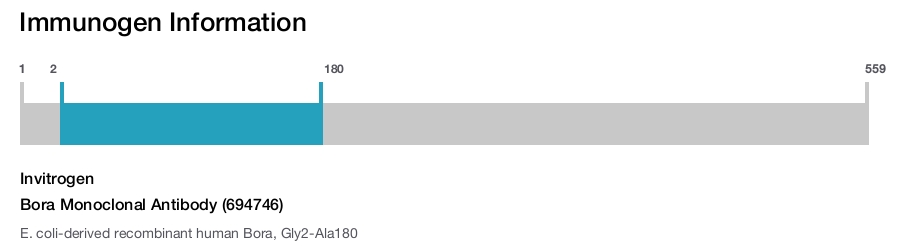 Bora Monoclonal Antibody (694746)