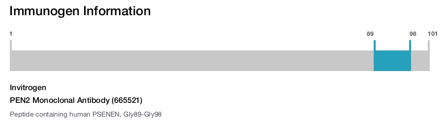 PEN2 Monoclonal Antibody (665521)