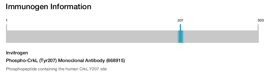 Phospho-CrkL (Tyr207) Monoclonal Antibody (668915)